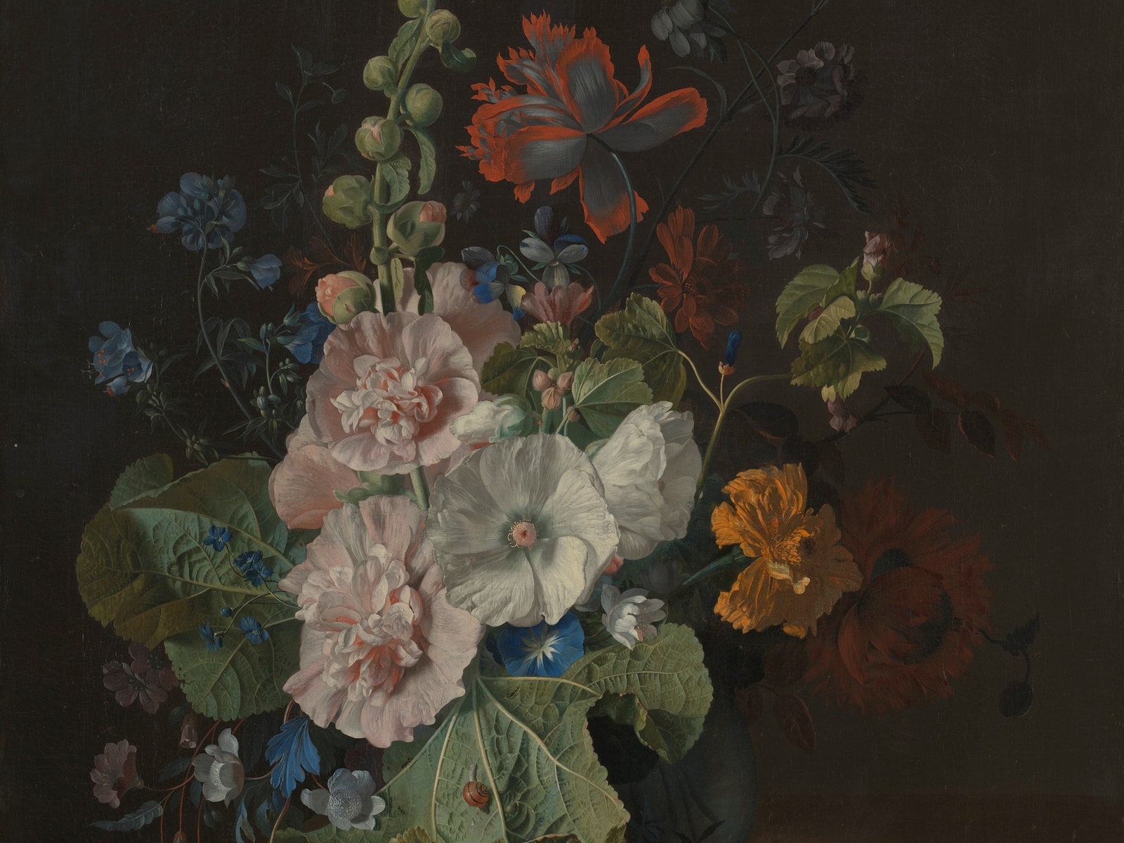 The secret language of Dutch flower paintings
