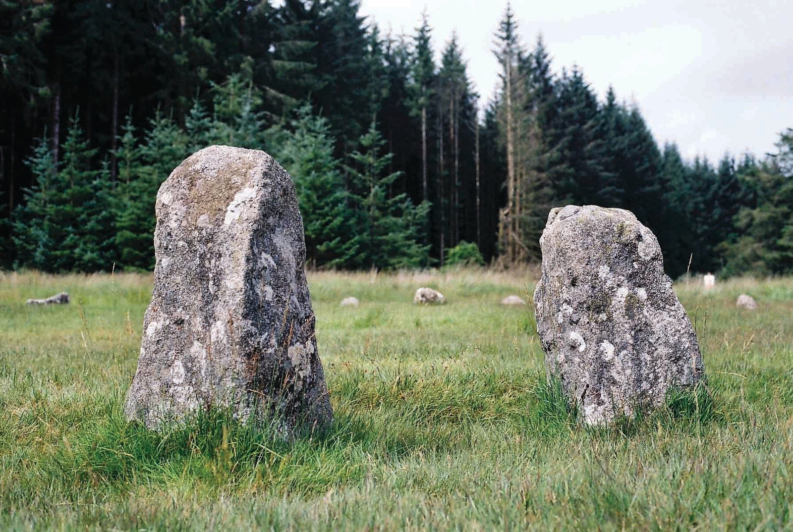 Standing stones at Fernworthy featured in Weird Walk