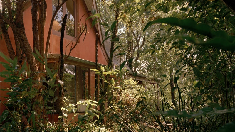 Artists Heath and Tais Wae have made their home in among 150 acres of Australian scrubland