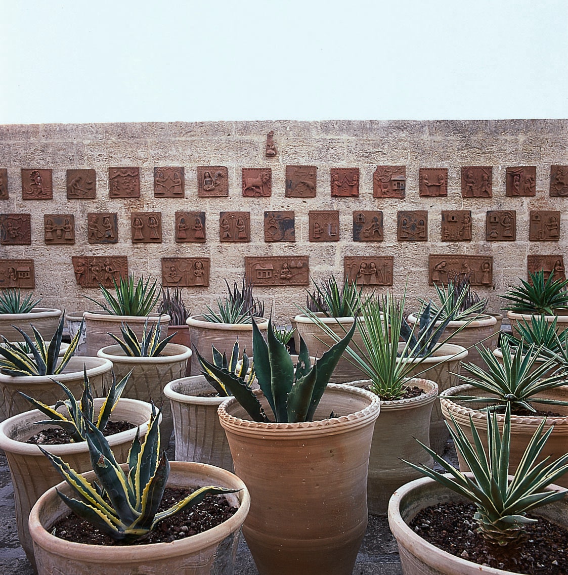 An army of succulents on a roof terrace stands in front of a wall lined with terracotta tiles depicting rural Gujarati life