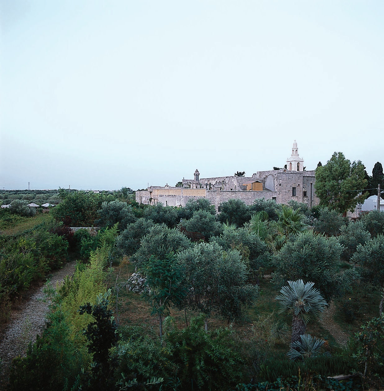 At the end of a rosemaryhedged pathway is a view of the convento over the tops of olive trees